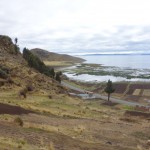Lac Titicaca - Pomata