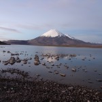 Volcan Parinacota - Chili